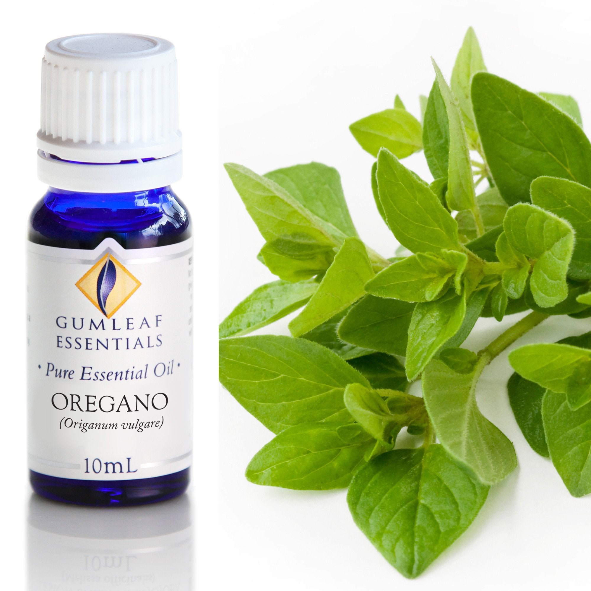 Oregano Essential Oil 10ml Main image