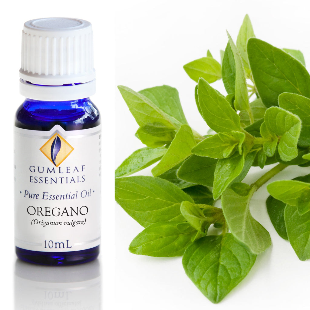 Oregano Essential Oil 10ml