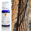 White Cypress Wood Essential Oil 10ml