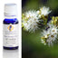 Kunzea Australian Essential Oil 10ml
