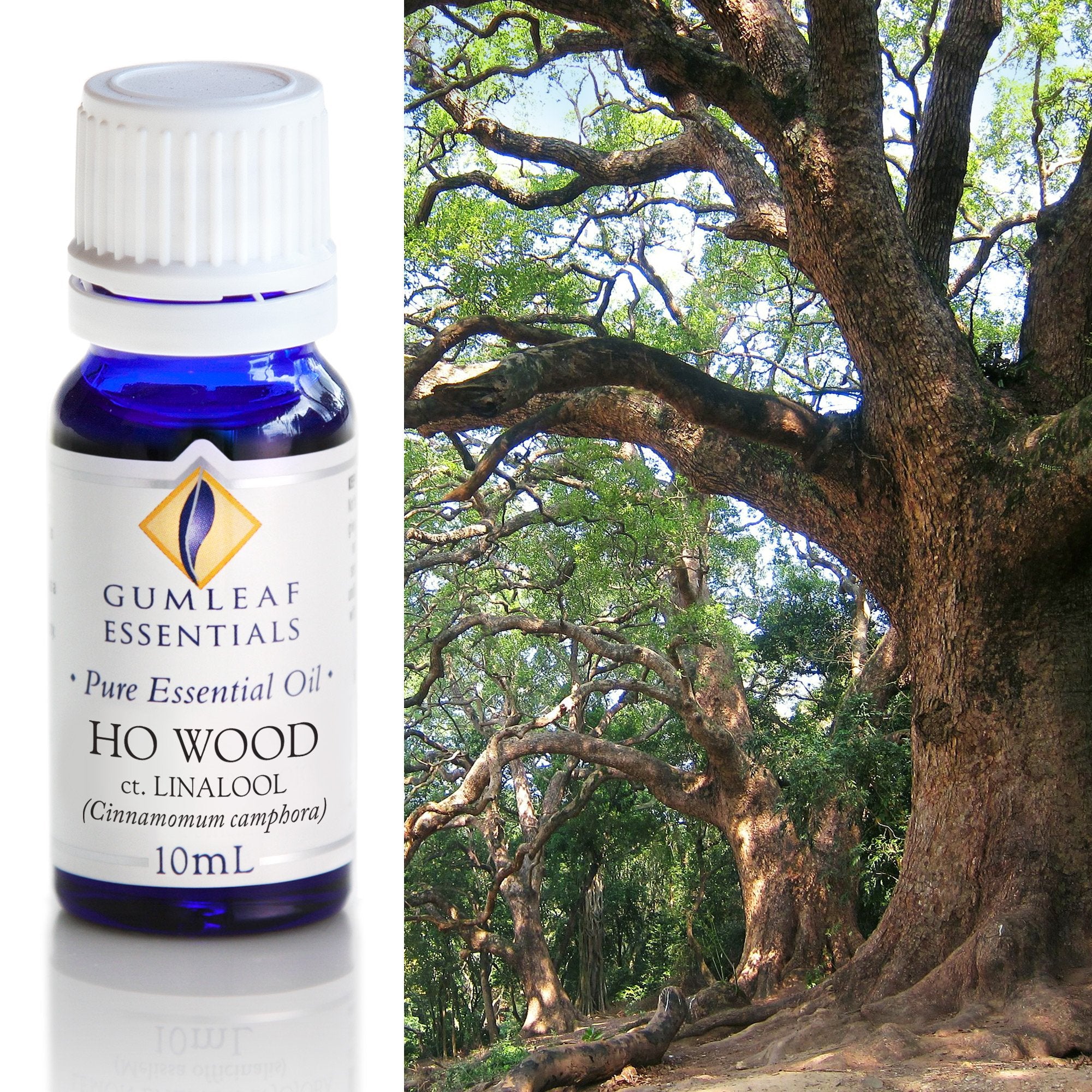 Ho Wood Essential Oil 10ml
