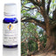 Ho Wood Essential Oil 10ml