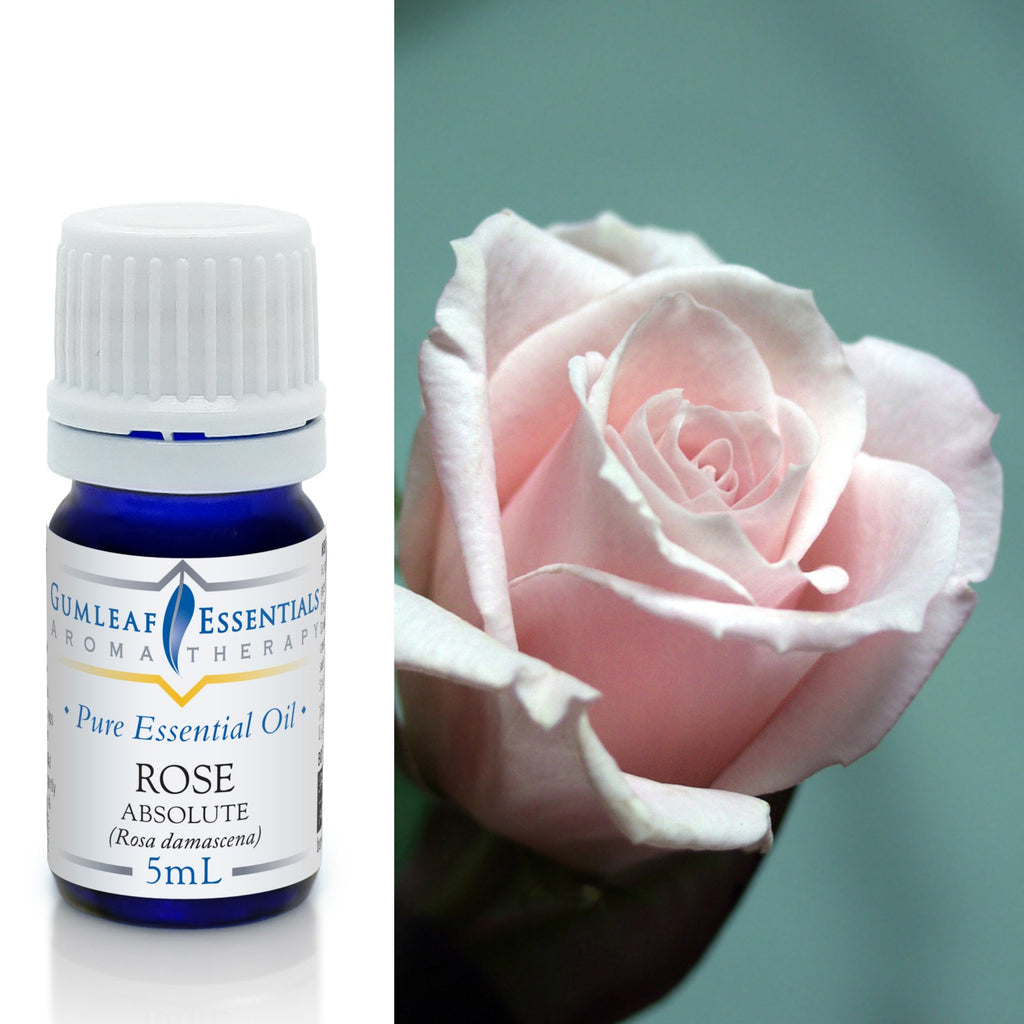 Rose Absolute Essential Oil 10ml