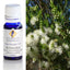 Rosalina Australian Essential Oil 10ml