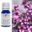 Manuka Essential Oil 10ml