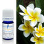 Frangipani Plumeria Absolute Essential Oil 5ml