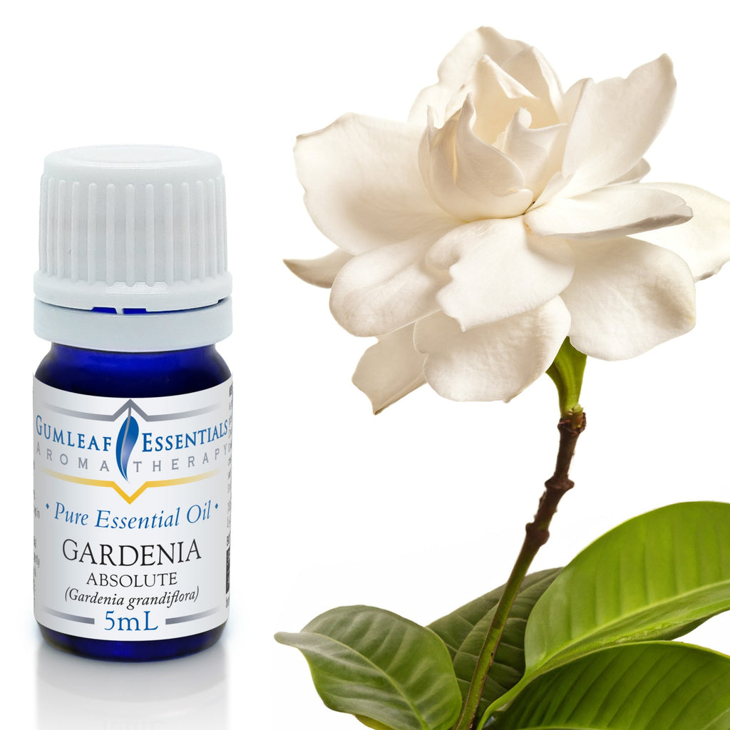 Gardenia Absolute Essential Oil 5ml