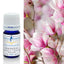 Magnolia Champaca Absolute Essential Oil 5ml
