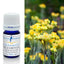 Helichrysum Immortelle Pure Essential Oil 5ml