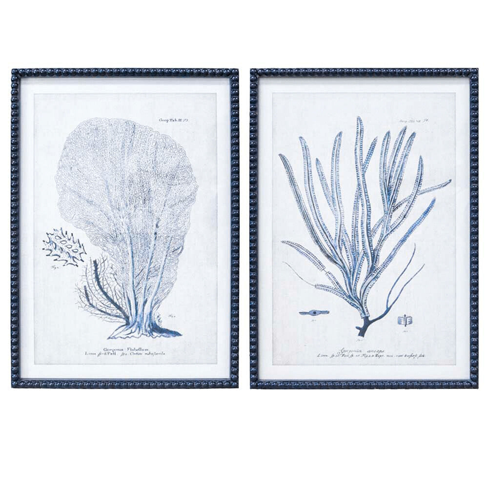 Framed Print Asstd Coral Navy Main image