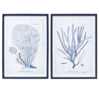 Framed Print Asstd Coral Navy