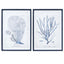Framed Print Asstd Coral Navy
