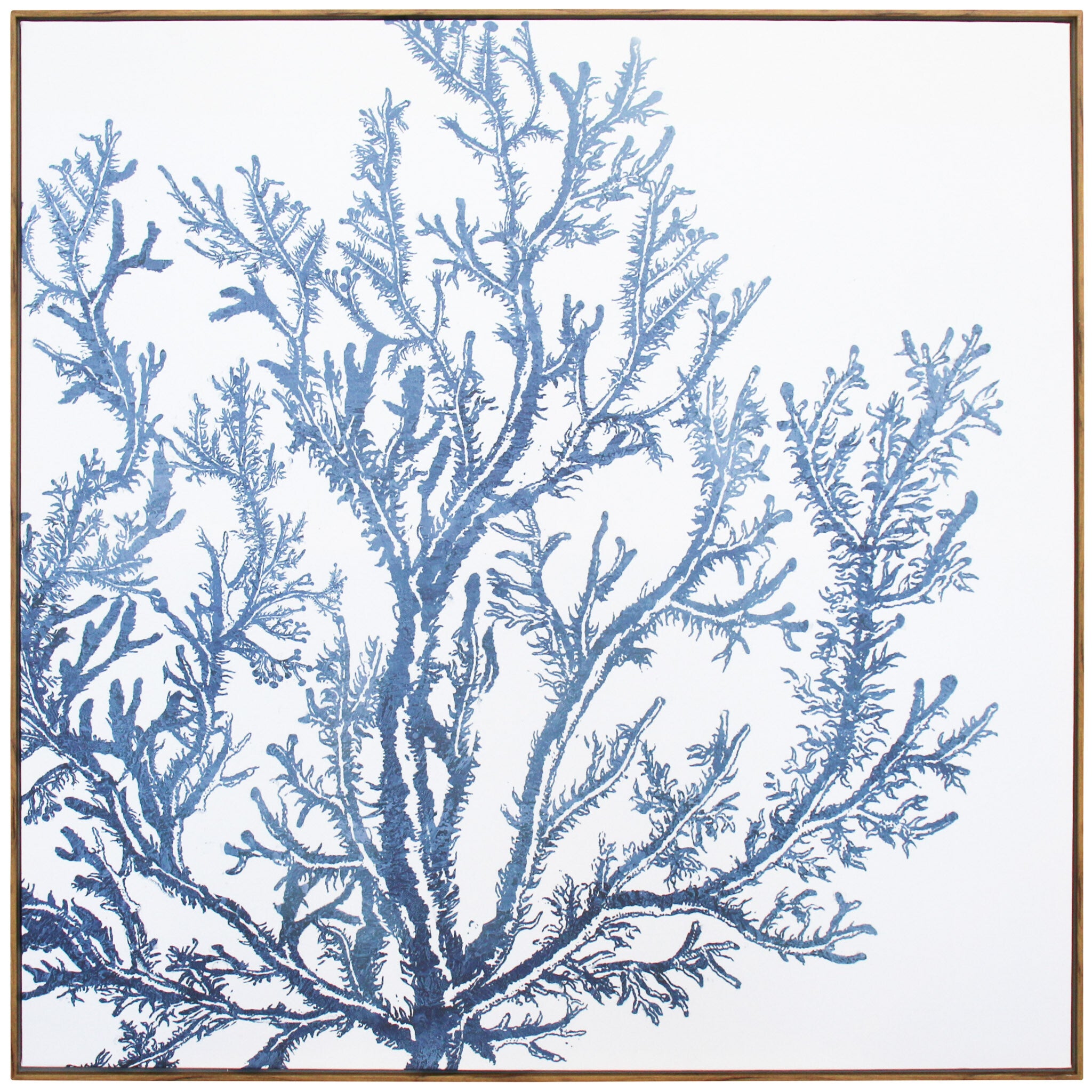 Framed Canvas Reef 2 Main image