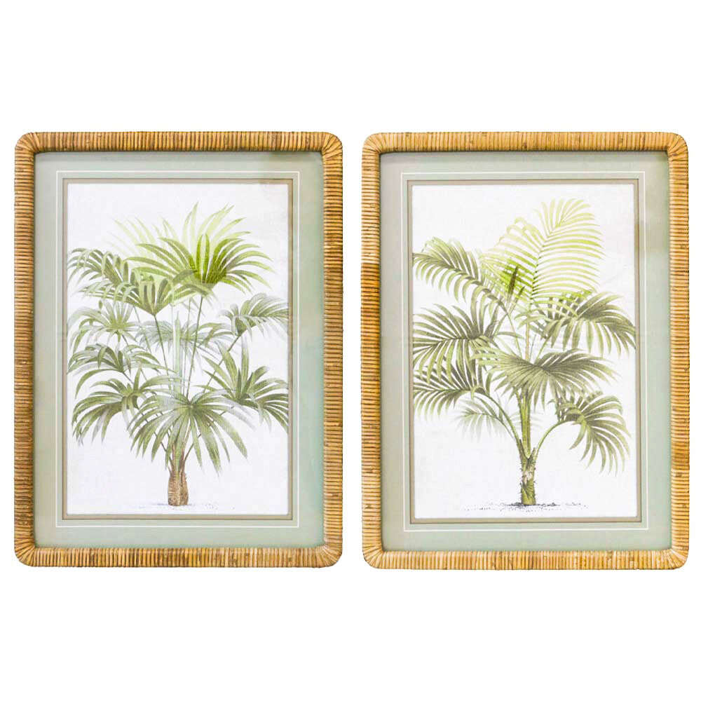Framed Print Asstd Palms Vintage Hauptbild
