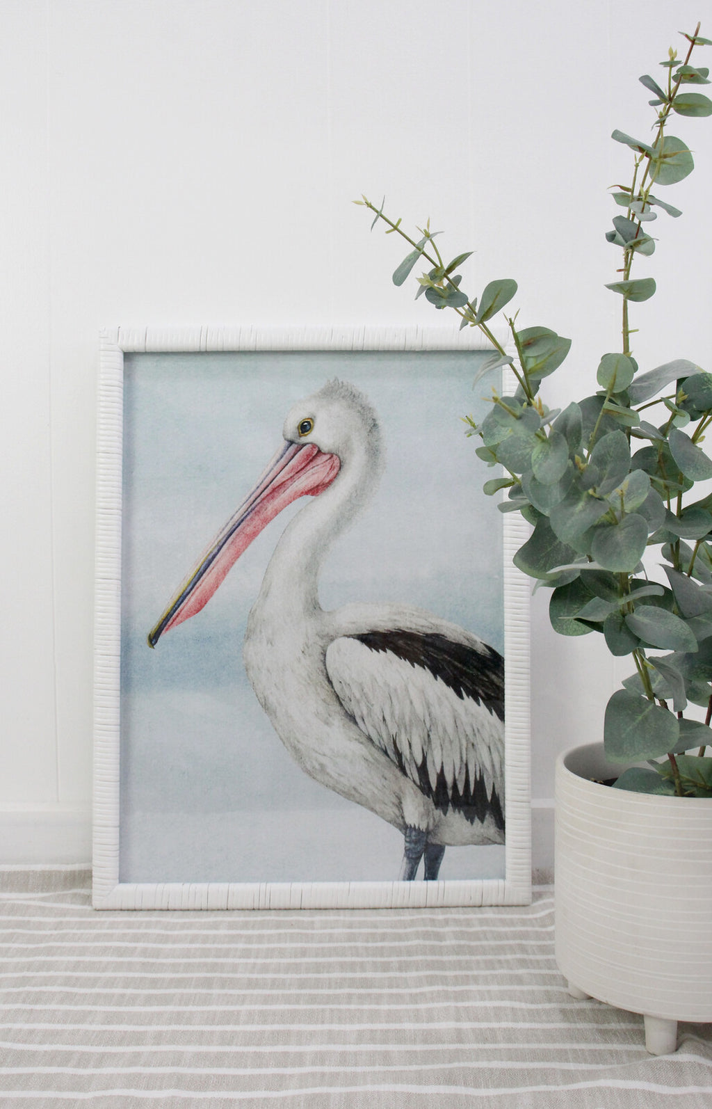 Framed Print Pelican