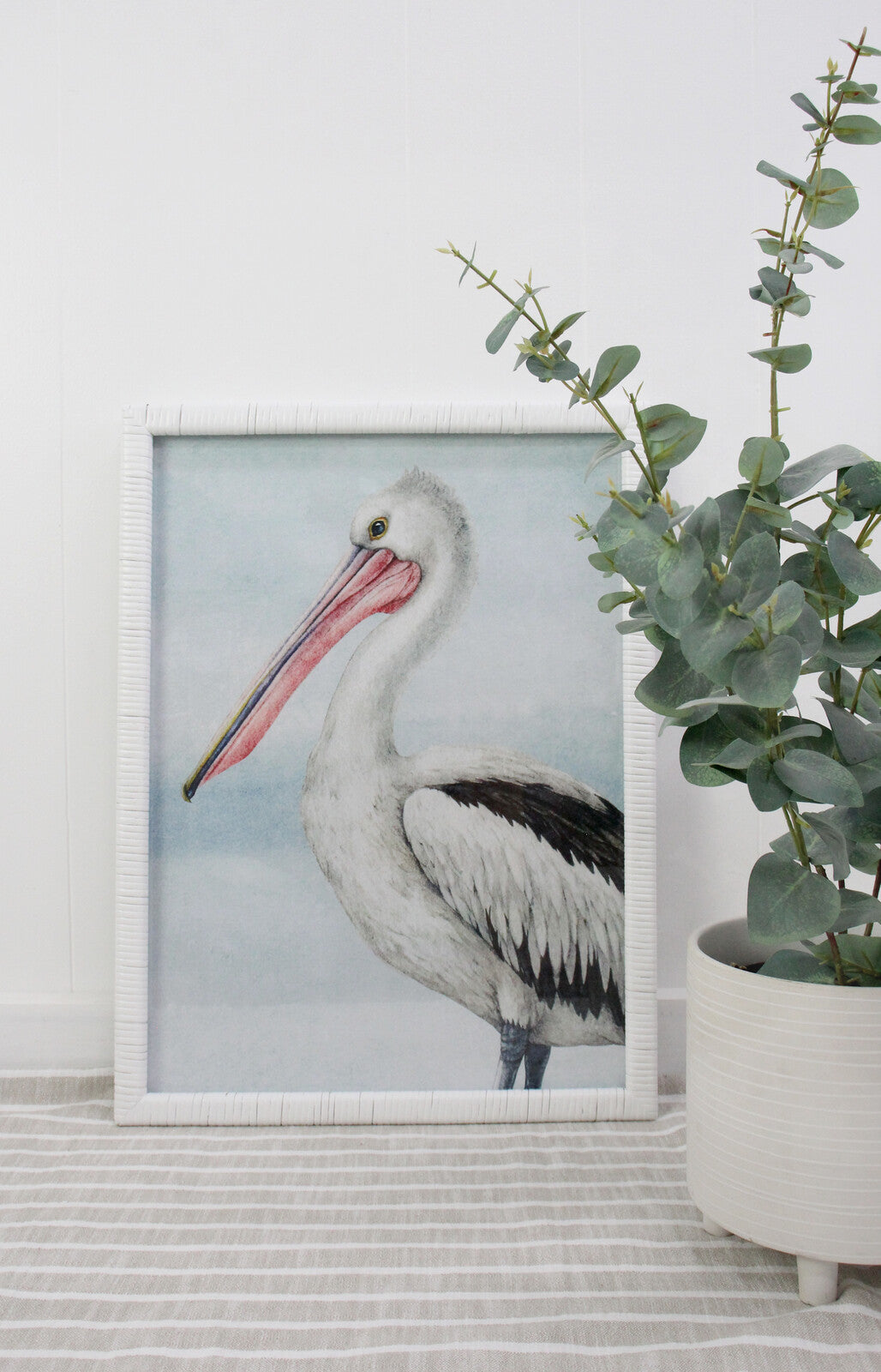 Framed Print Pelican