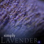 Lavender Incense