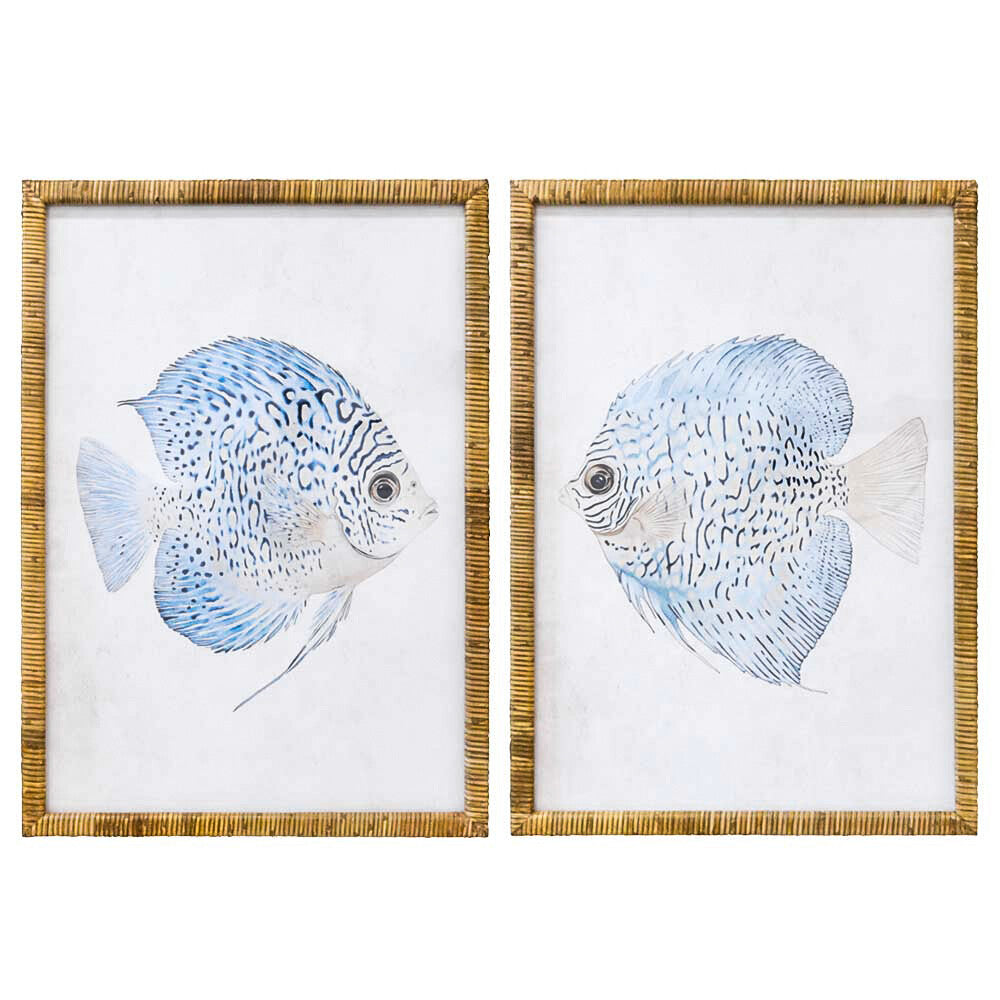Framed Print Asstd Blue Fish Hauptbild