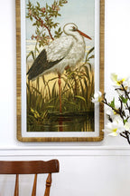 Framed Print Heron