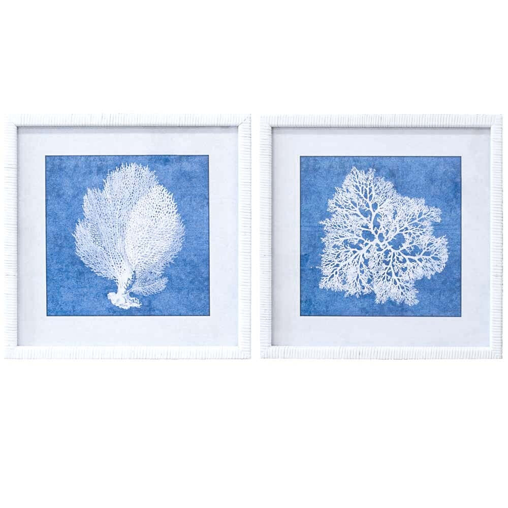 Framed Print Asstd Coral