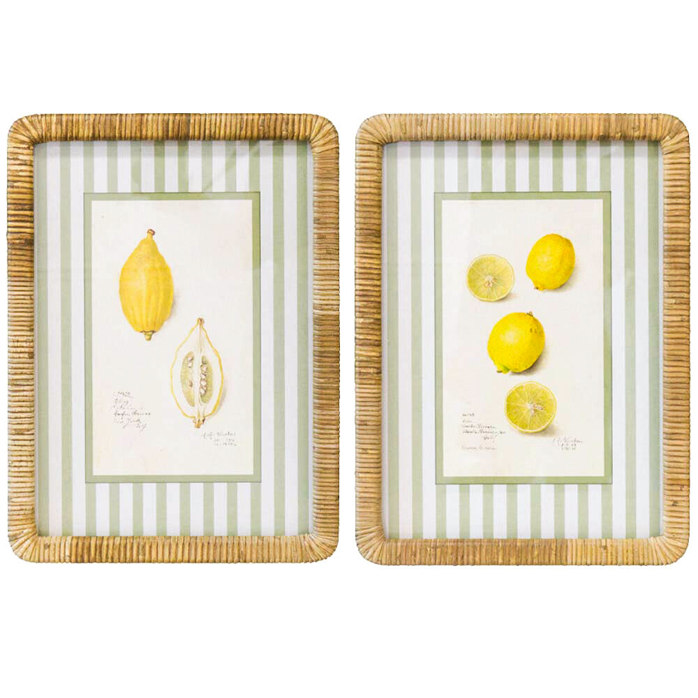 Framed Print Asstd Lemons Main image