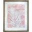 Framed Print Blush 1