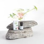 Green Goddess Essential Oil Blend 5mL