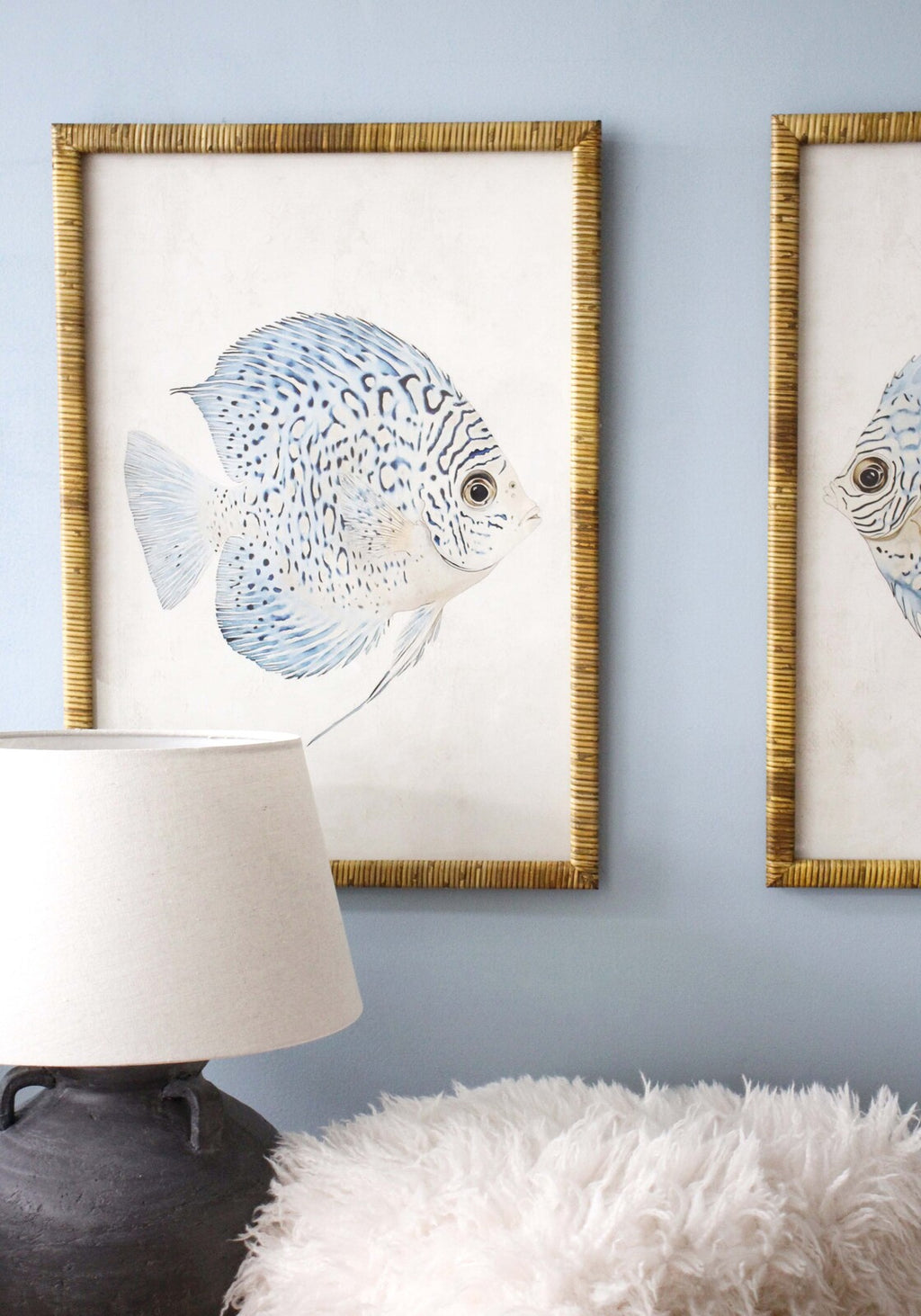 Framed Print Asstd Blue Fish
