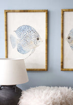 Framed Print Asstd Blue Fish