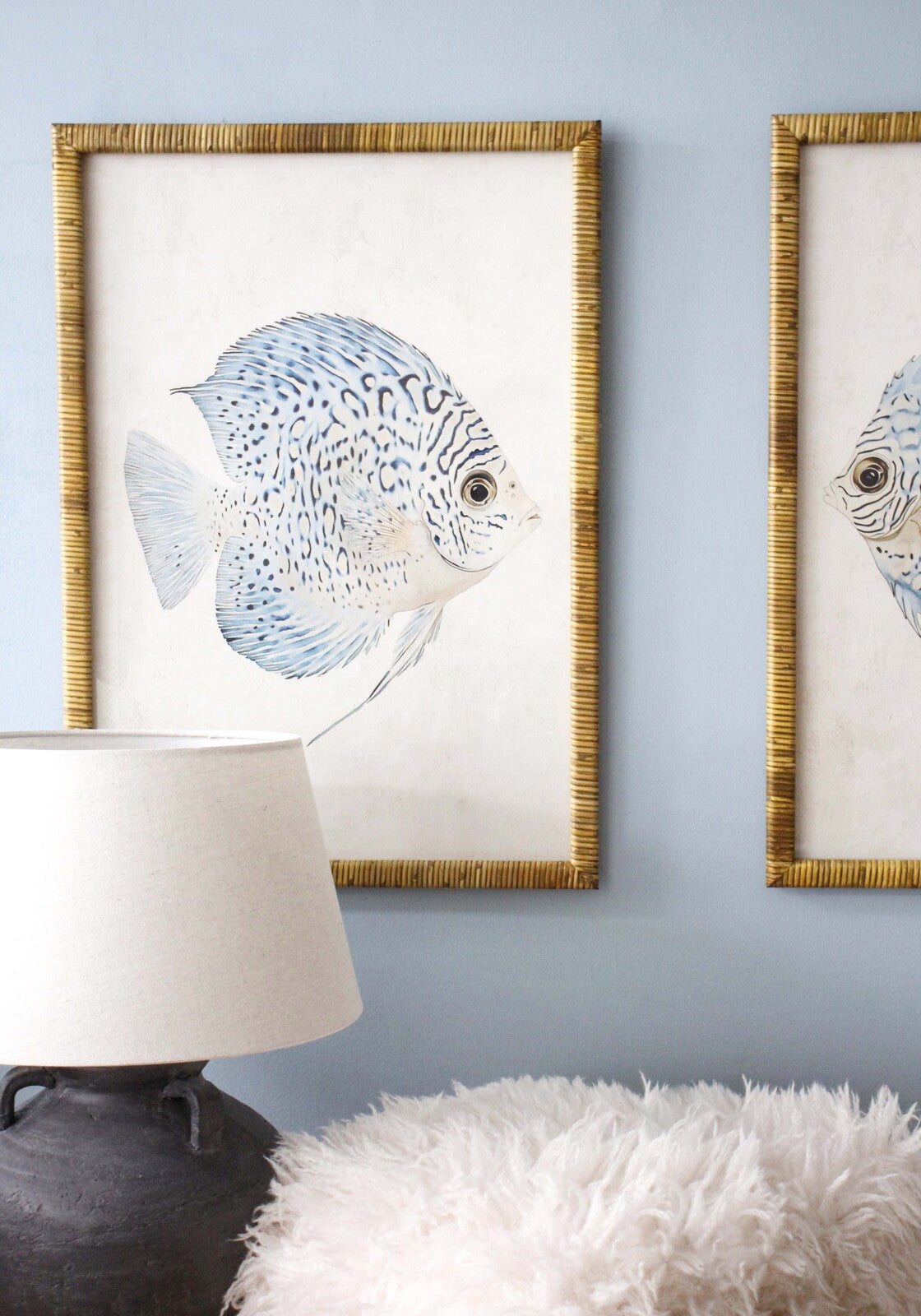 Framed Print Asstd Blue Fish
