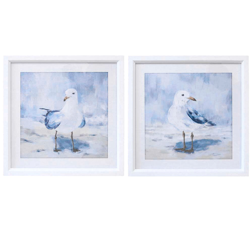 Framed Print Asstd Seagulls Main image
