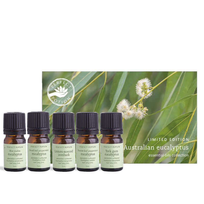 Australian Eucalyptus Essential Oils Collection