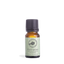 Spruce, Black Pure Essential Oil  10ml