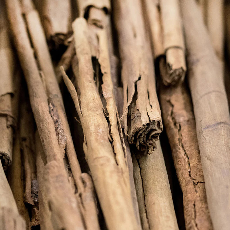 Cinnamon Bark Pure Essential Oil 10ml