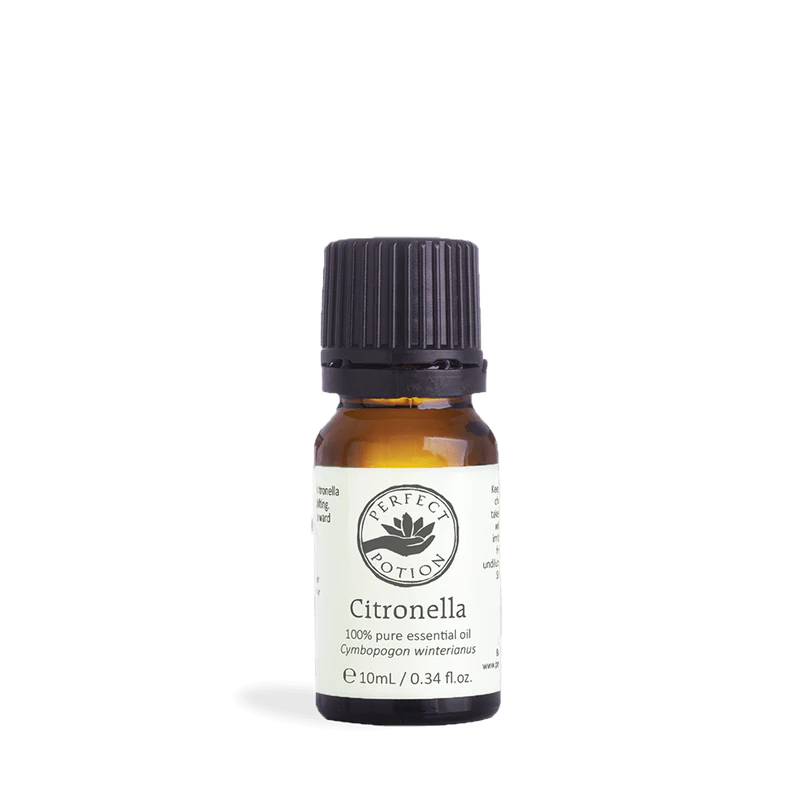 Citronella Pure Essential Oil 10ml Main image