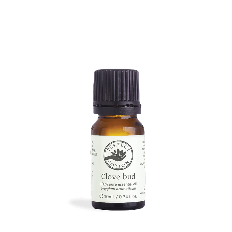 Clove Bud Pure Essential Oil 10ml Main image