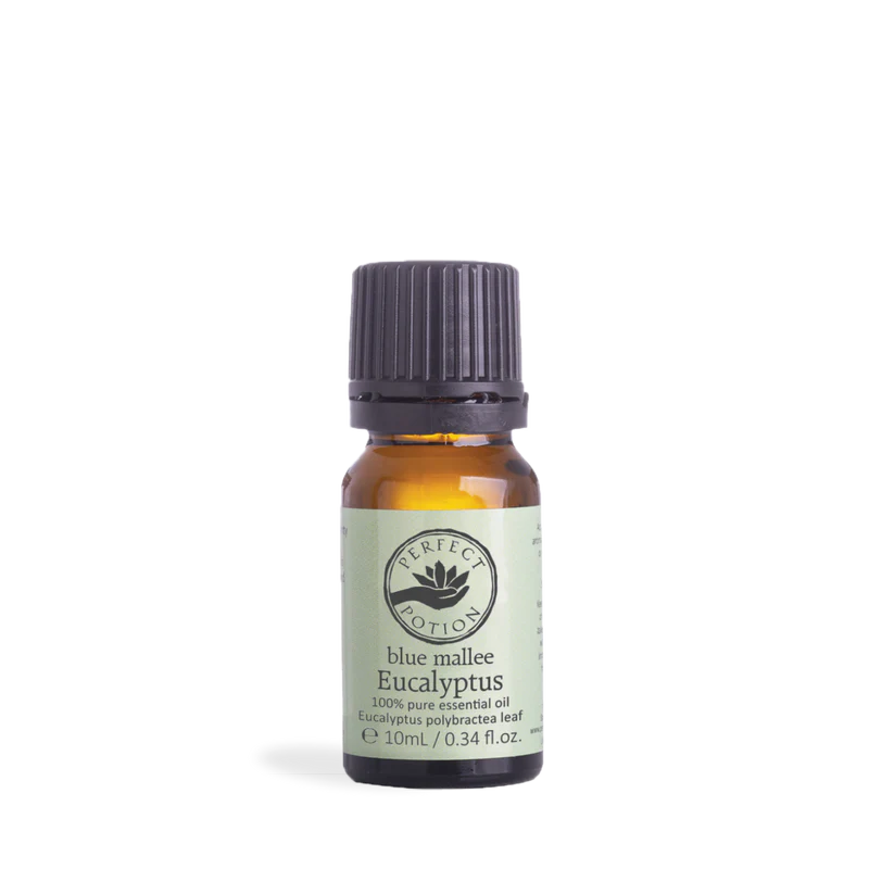 Eucalyptus B.Mallee Pure Essential Oil 10ml
