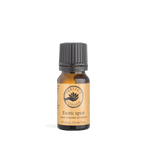 Exotic Spice Essential Oil Blend 10ml