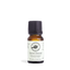 Fennel, Sweet Pure Essential Oil 10ml