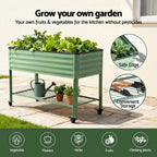 Green Fingers Elevated Raised Garden Bed Kit Mobile w/ Locking Wheels & Storage Shelf 100KG Max Load 115x60x81cm | Galvanized Steel, Portable Green Organizer for Seniors, Patio, Balcony, Vegetables
