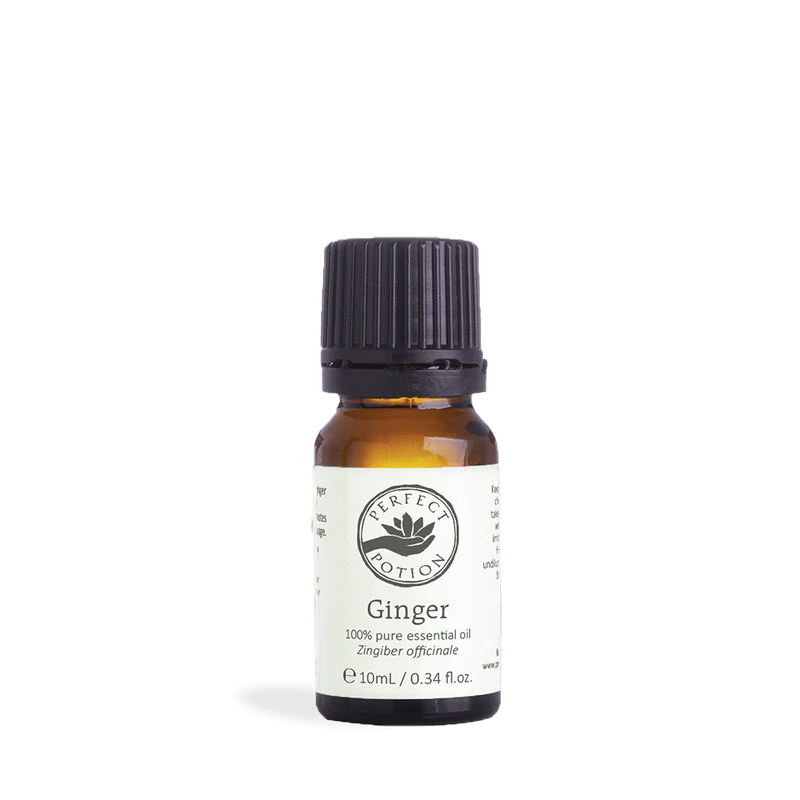 Ginger Pure Essential Oil 10ml