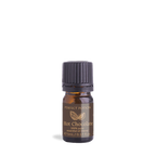 Hot Chocolate Essential Oil Blend 5ml