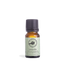 Lavender Pure Essential Oil 10ml