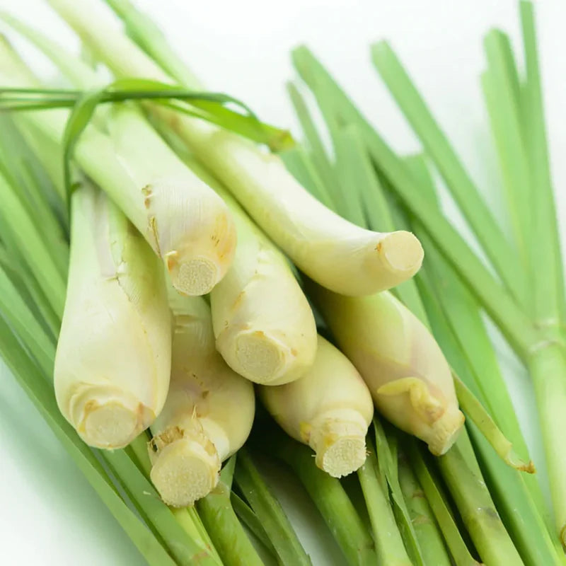 Lemongrass Pure Essential Oil 10ml