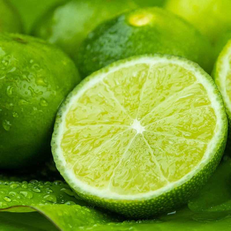 Lime Pure Essential Oil 10ml