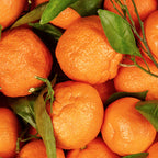 Mandarin Pure Essential Oil 10ml