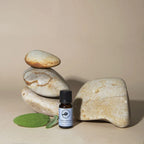 Space Clearing Essential Oil Blend 10ml