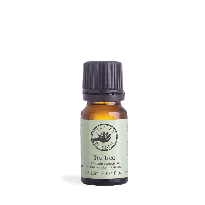 Tea Tree Essential Oil 10ml Main image