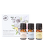 The Stoic Collection Essential Oil Trio