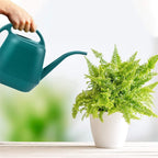 Pot Watering Jug Small Plant Indoor Watering Plant Indoor Watering Jug Long Spout Watering Jug Watering Garden Pot Household Watering Jug Watering Garden Kettle （2L） Yellow